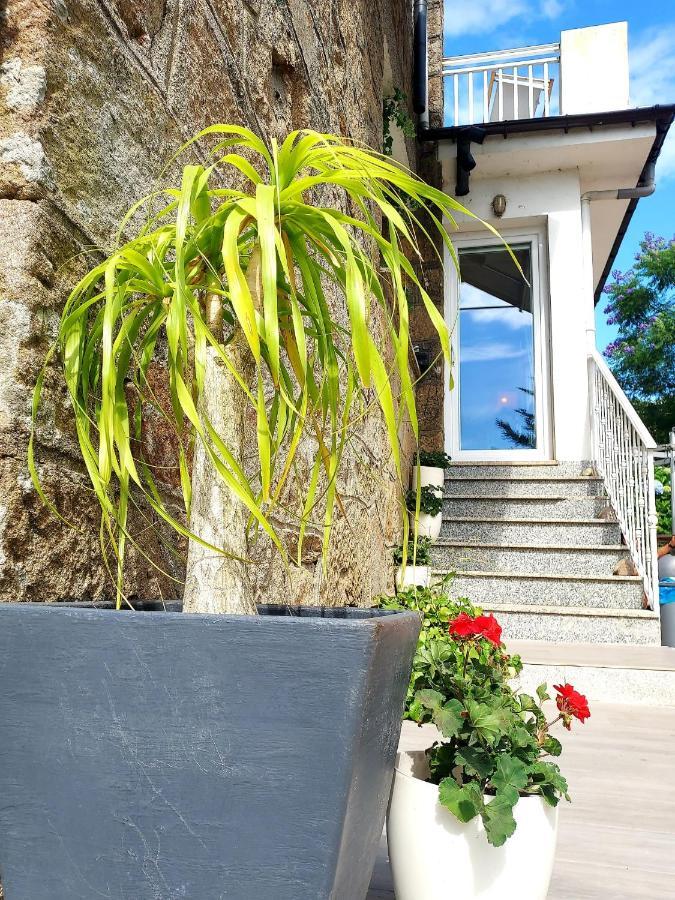 Villa Tana, Casa Compartida Pontevedra Exteriör bild